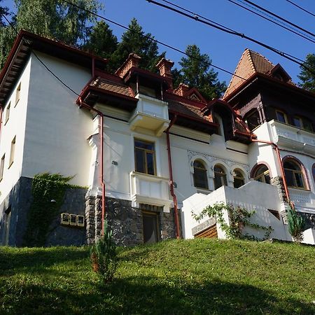 Vila Arizto Sinaia Ngoại thất bức ảnh