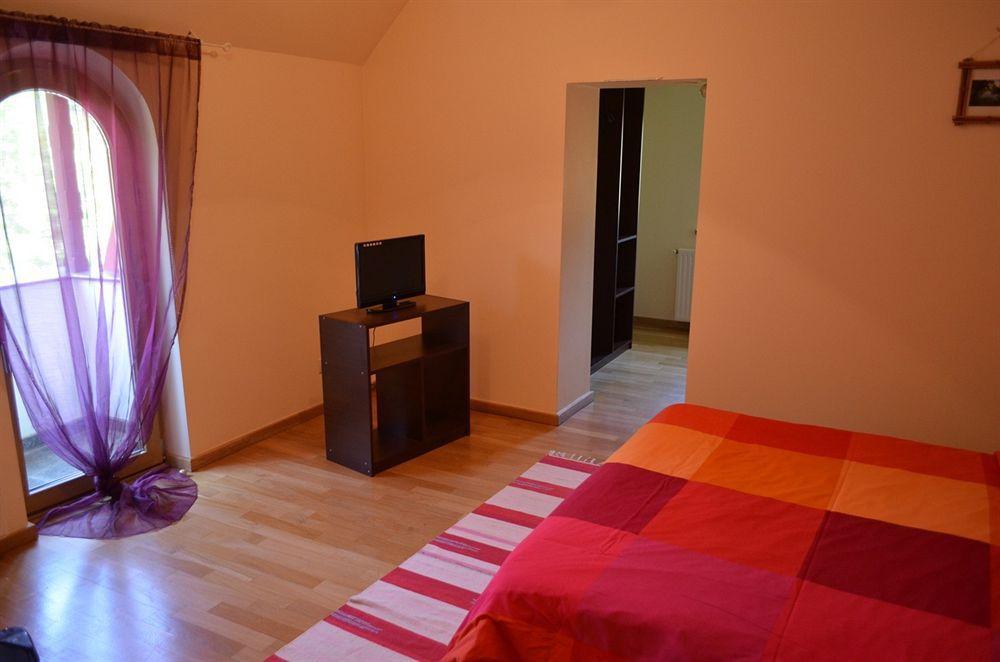 Vila Arizto Sinaia Ngoại thất bức ảnh