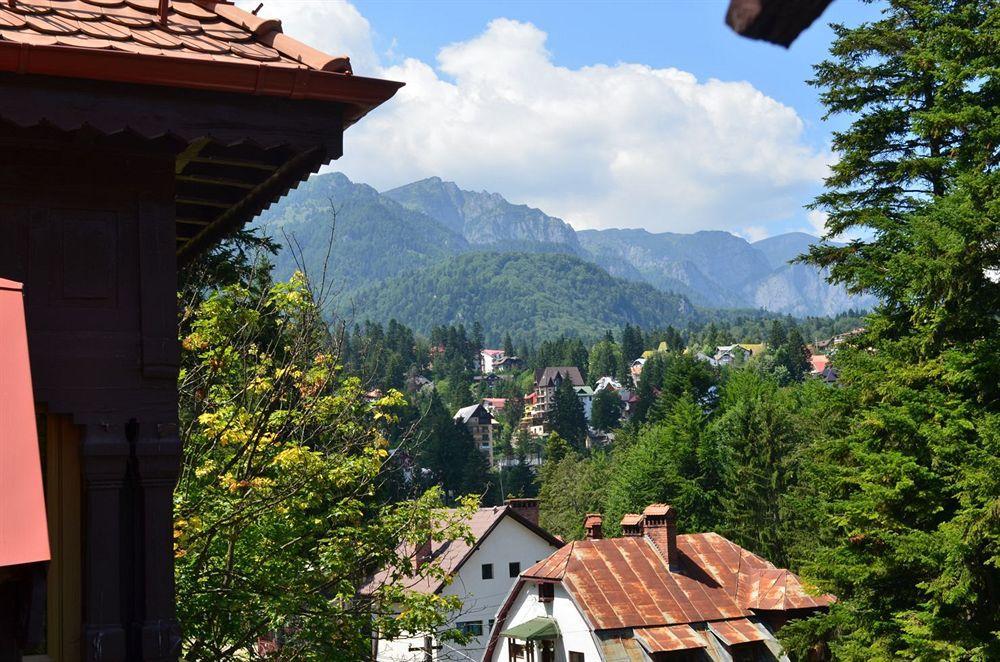 Vila Arizto Sinaia Ngoại thất bức ảnh
