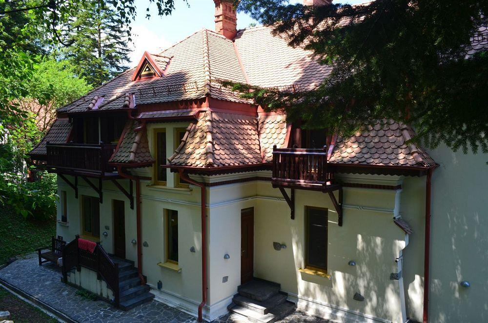Vila Arizto Sinaia Ngoại thất bức ảnh