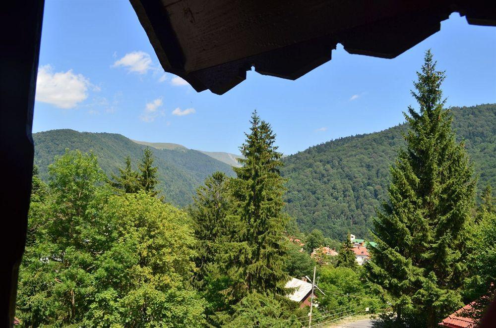 Vila Arizto Sinaia Ngoại thất bức ảnh