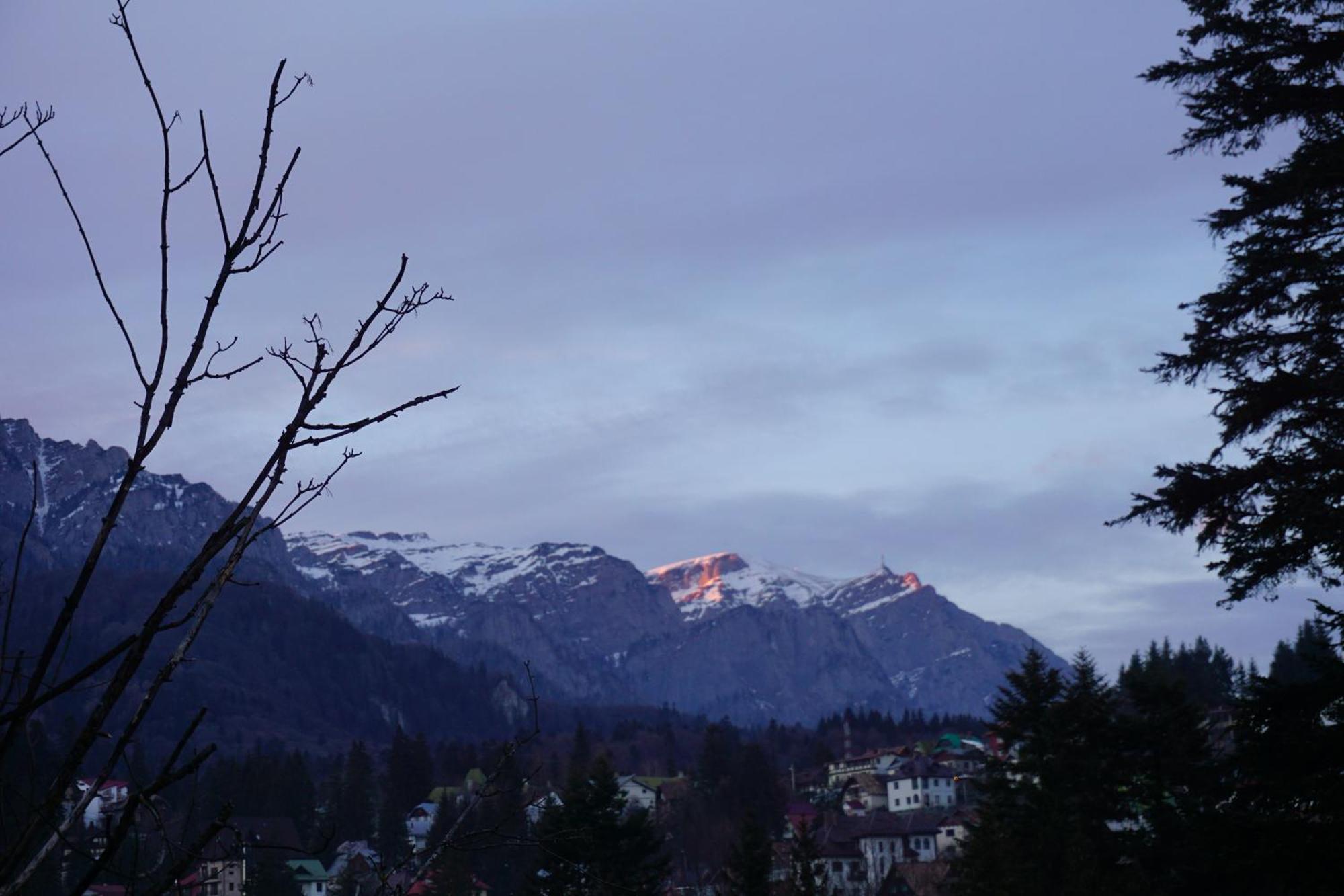 Vila Arizto Sinaia Phòng bức ảnh