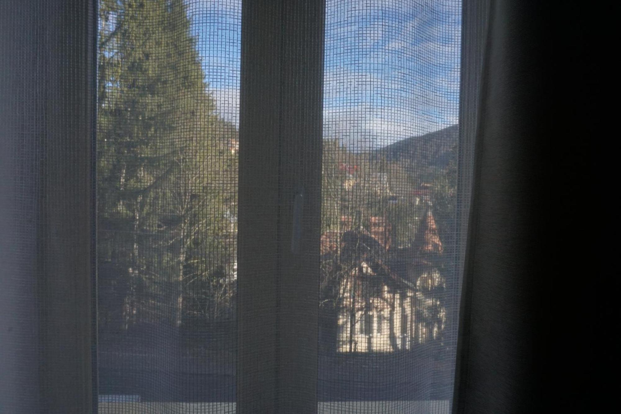Vila Arizto Sinaia Phòng bức ảnh