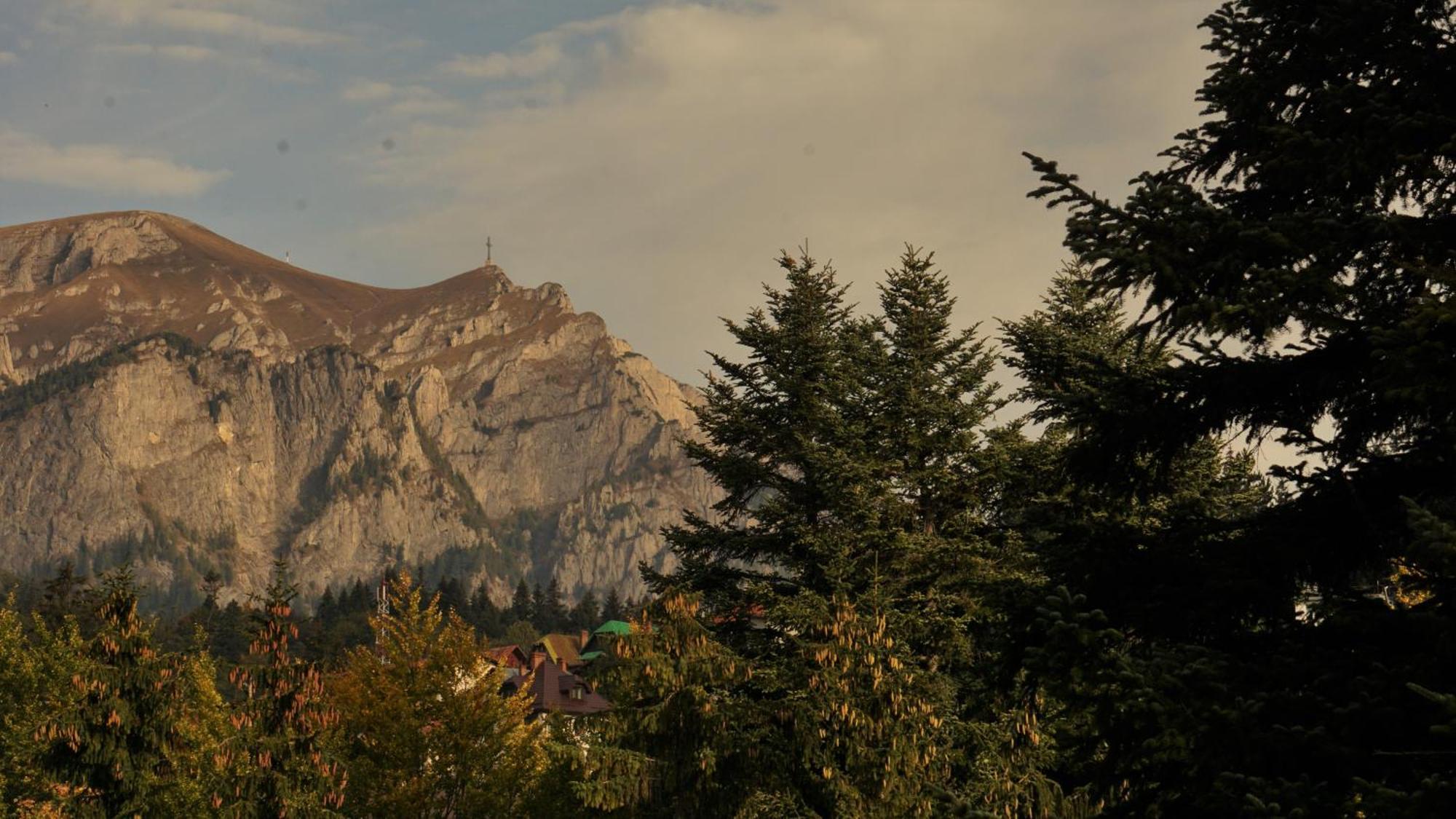 Vila Arizto Sinaia Phòng bức ảnh