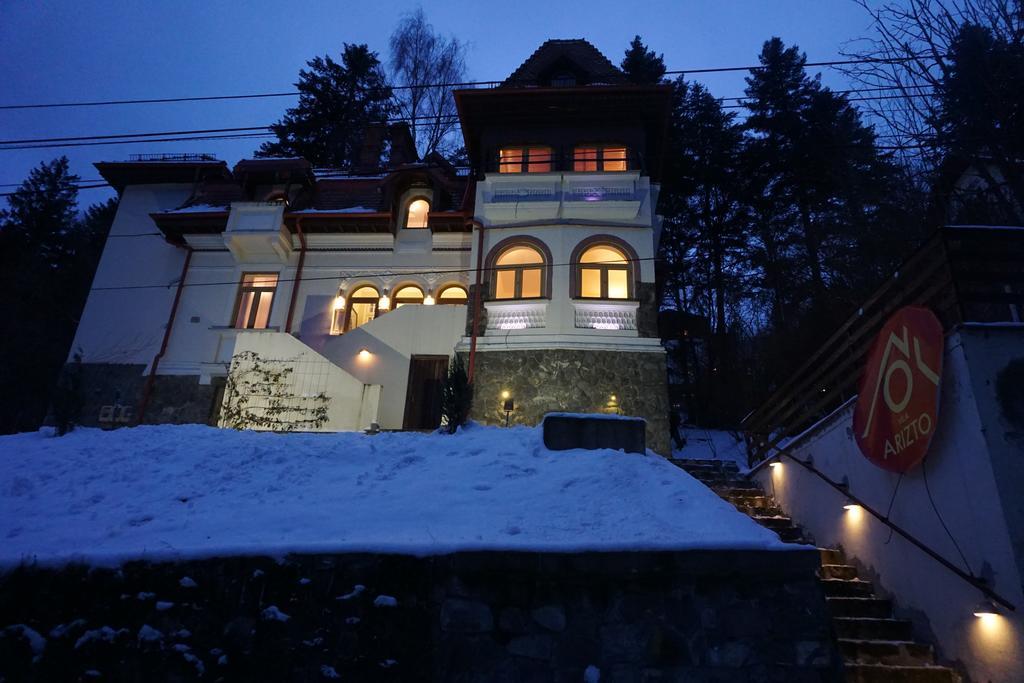 Vila Arizto Sinaia Ngoại thất bức ảnh