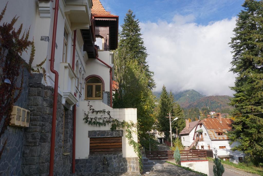 Vila Arizto Sinaia Ngoại thất bức ảnh