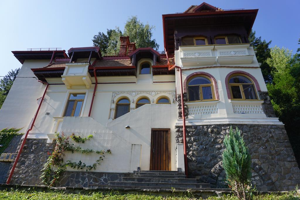 Vila Arizto Sinaia Ngoại thất bức ảnh