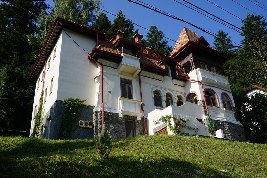 Vila Arizto Sinaia Ngoại thất bức ảnh