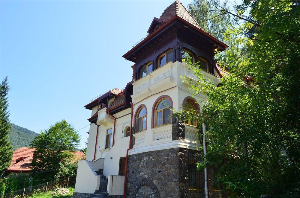 Vila Arizto Sinaia Ngoại thất bức ảnh