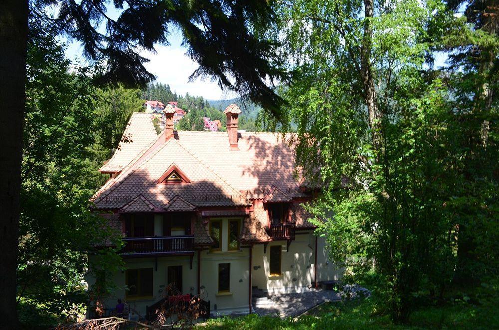 Vila Arizto Sinaia Ngoại thất bức ảnh