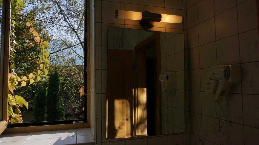 Vila Arizto Sinaia Ngoại thất bức ảnh