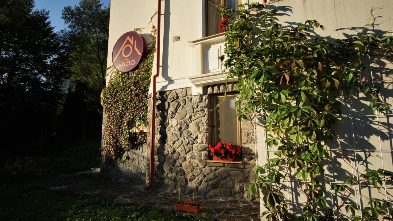 Vila Arizto Sinaia Ngoại thất bức ảnh